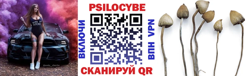 Псилоцибиновые грибы ЛСД mega ссылки Бикин